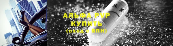 сатива Алзамай