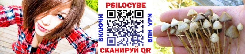 Псилоцибиновые грибы Cubensis  Полевской 